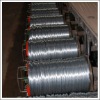 Galvanized Wire