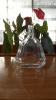 Glass Bottle1720#