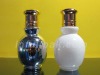 Glass Essential Oil Bottle