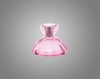 Glass Spray Perfume Bottle