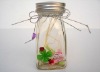 Glass gift bottle with screw cap