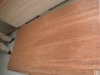 Good quality packing plywood with high quality and best price