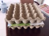 HOT!! 26*26cmEgg Pulp Tray for 25 eggs