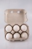 HOT!! Paper pulp 6 Eggs tray