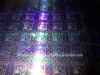 High Quality Hologram Labels