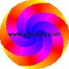 High Quality Laser Spiral Color Label