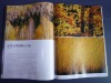 High quality photography book printing