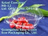 Hight Quality Disposable Salad container HB-12