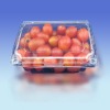 Hinged Fruit Packaging Box