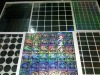 Hologram Labels Maker