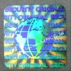 Hologram sticker