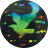 Hologram sticker