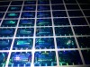 Hologram stickers Manufacturers