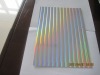 Holographic metallized cardboard