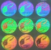 Holographic sticker  anti-counterfeiting printing