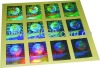 Holographic sticker  anti-counterfeiting printing