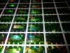 Holographic stickers