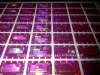 Holographic stickers Manufacturers