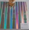 Hologrm Metallized paper