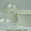 Ice Cream Cups with Dome Lids