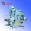 In-line Capping Machine