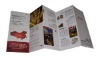 LIDI folding brochures printing service