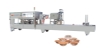 LXS/CFD-3 Full Automatic Continual Filling & sealing Machine