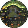 Light holographic label