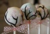 Lollipop Stick,Chocolate Cake Pops stick