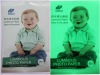 Matte waterproof glow in the dark photo paper