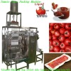 Multi lanes Liquid Packing Machine