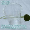 Newest Clear PET plastic cup 10 oz