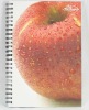 Notebook manufacturer provides items with vivid fruit pictures printed cover