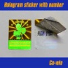 Numbering hologram stickers