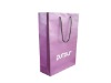 Nylon or PP Handle Paper Shopping Bags