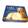 OEM hardcover children's book printing