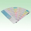 PANTONE PASTELS & NEONS Coated & Uncoated Color Guide GG1304