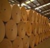 PE coated paper ,best price