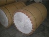 PE coated paper in roll