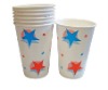 PE disposable cold drinking paper cup