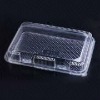 PET clamshell blister plastic food container