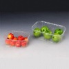 PET plastic fruit tray