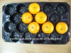 PP Insert Tray for Round Fruit,blue,PP,trays,29*39cm