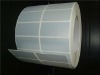 PP,PVC,PET,PE Blank Adhesive Label