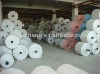 PP woven fabric in roll