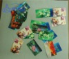 PVC card printing from BYC