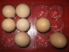 PVC eggs blister tray