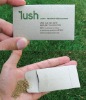 Paper Business Name Card