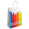 Paper Shopping Bag