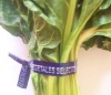 Paper printed Vegetables'  tie/twist tie